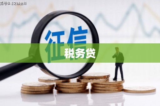 福州税务贷