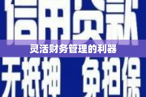 福州灵活财务管理的利器