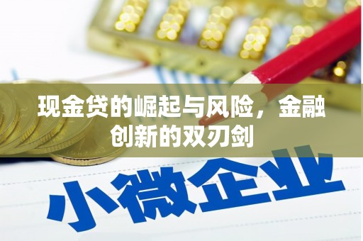 福州现金贷的崛起与风险，金融创新的双刃剑