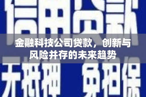 福州金融科技公司贷款，创新与风险并存的未来趋势