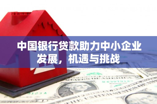 福州中国银行贷款助力中小企业发展，机遇与挑战