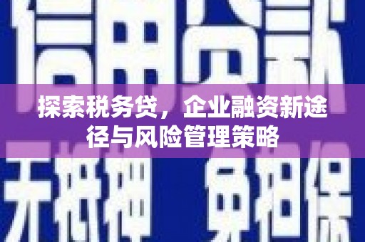 福州探索税务贷，企业融资新途径与风险管理策略