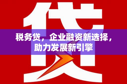 福州税务贷，企业融资新选择，助力发展新引擎