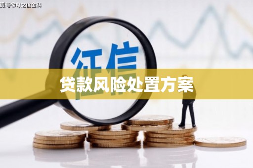 福州贷款风险处置方案