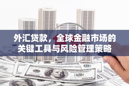 福州外汇贷款，全球金融市场的关键工具与风险管理策略