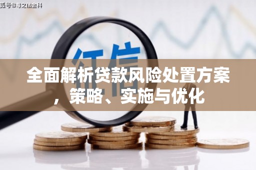 福州全面解析贷款风险处置方案，策略、实施与优化