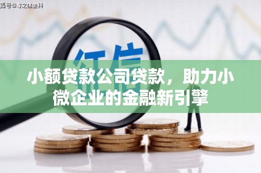 福州小额贷款公司贷款，助力小微企业的金融新引擎