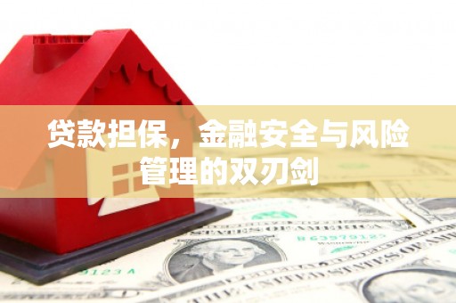 福州贷款担保，金融安全与风险管理的双刃剑