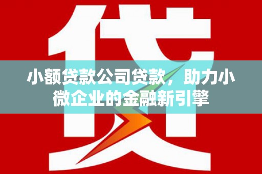 福州小额贷款公司贷款，助力小微企业的金融新引擎