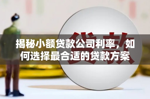 福州揭秘小额贷款公司利率，如何选择最合适的贷款方案