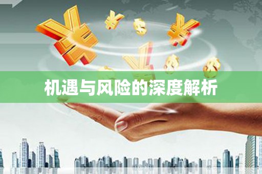 福州机遇与风险的深度解析