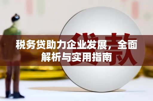 福州税务贷助力企业发展，全面解析与实用指南
