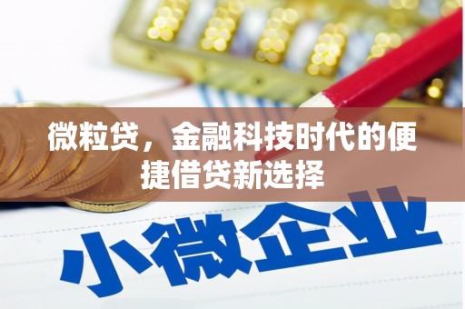 福州微粒贷，金融科技时代的便捷借贷新选择