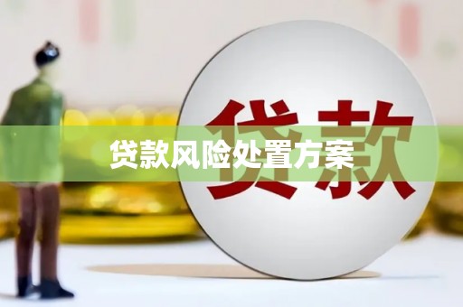 福州贷款风险处置方案