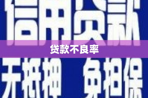 福州贷款不良率