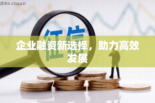 福州企业融资新选择，助力高效发展