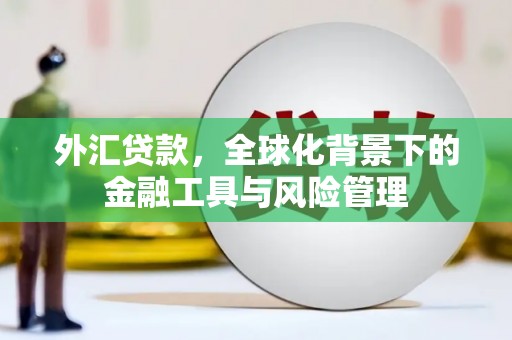 福州外汇贷款，全球化背景下的金融工具与风险管理